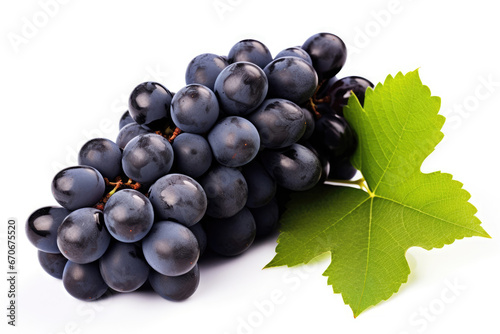 Bunch of dark blue grapes on white