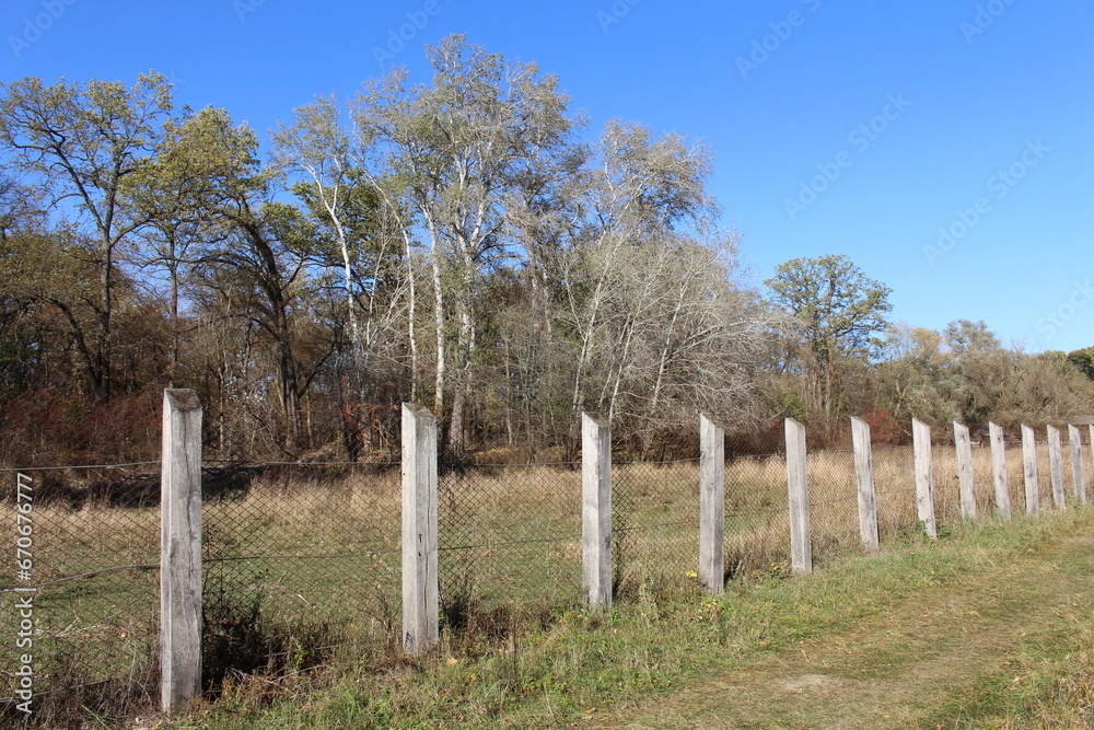 A fenced in field with trees
