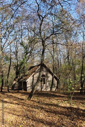 A small building in a forest
