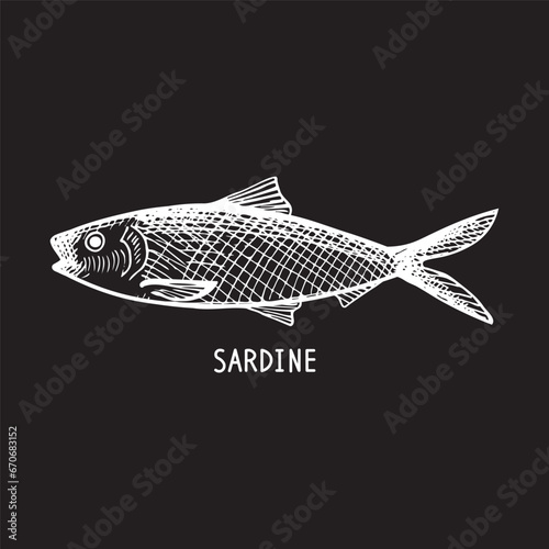 Fish Sardel hand drawn background with text Sardine, vector illustration. Backdrop with Pilchard drawing -seafood,delicacy, fishing, food. Design element for print, card, logo, paper, template, label