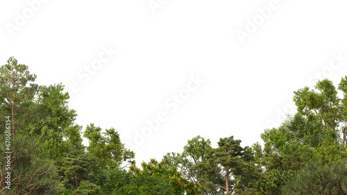 Many kinds of forest foreground on transparent background