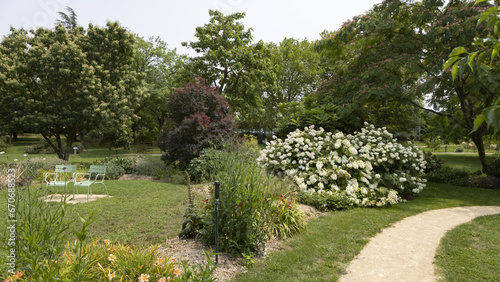  Hydrangea quercifolia dans un parc arboré photo