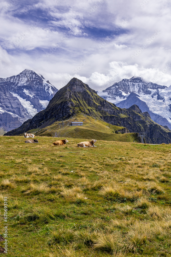 The Swiss Alps, a breathtaking mountain range nestled in the heart of Europe, captivate with their majestic peaks, pristine landscapes, and timeless charm.