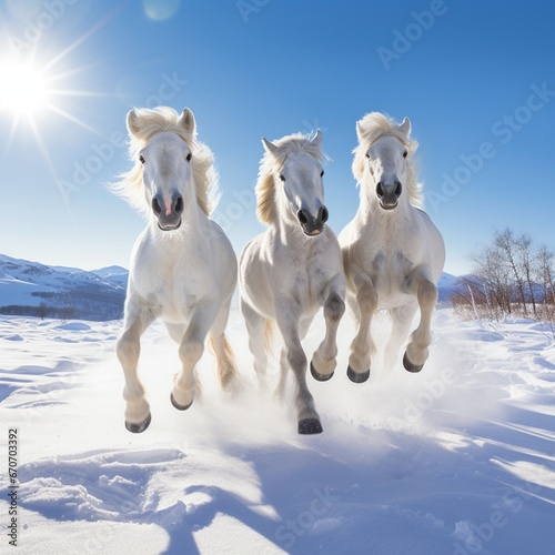 tree horses runing in snow