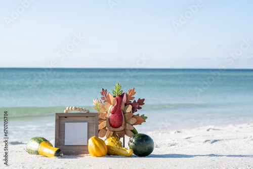 Fototapeta Naklejka Na Ścianę i Meble -  Thanksgiving Turkey on the beach with white and clear water on a sunny day