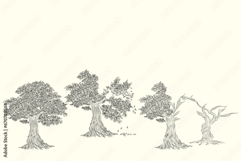 Hand drawn pencil sketch of tree. Oak tree with leaves isolated vintage illustration. Retro style nature illustration with details. Olive tree trunk. Ink sketch drawing. Dry Crooked Tree. Freehand.