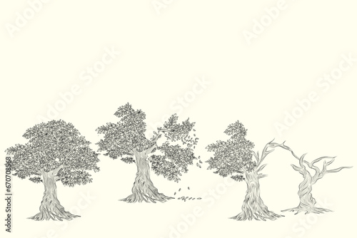 Hand drawn pencil sketch of tree. Oak tree with leaves isolated vintage illustration. Retro style nature illustration with details. Olive tree trunk. Ink sketch drawing. Dry Crooked Tree. Freehand.