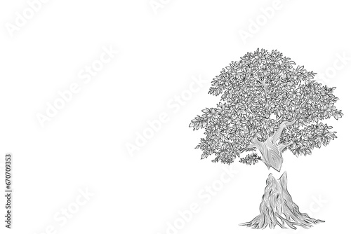 Hand drawn pencil sketch of tree. Oak tree with leaves isolated vintage illustration. Retro style nature illustration with details. Olive tree trunk. Ink sketch drawing. Dry Crooked Tree. Freehand.