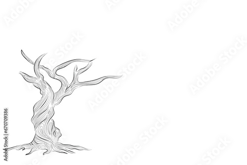 Hand drawn pencil sketch of tree. Oak tree with leaves isolated vintage illustration. Retro style nature illustration with details. Olive tree trunk. Ink sketch drawing. Dry Crooked Tree. Freehand.