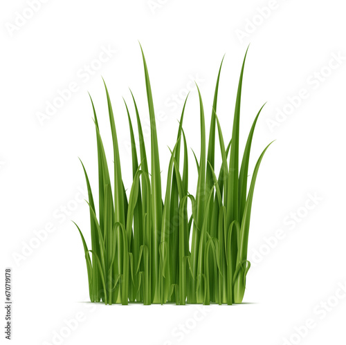 Realistic grass blades isolated vector 3d element for creating vivid and natural-looking landscape, lush plant stems or leaves growth