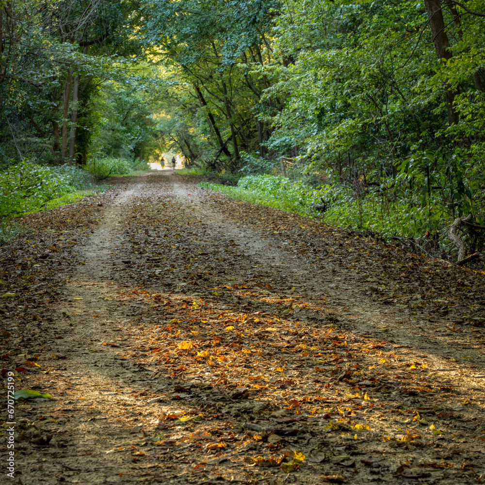 Katy Trail near McKittrick, Missouri, in early fall scenery - 237 mile bike trail converted from an old railroad Katy Trail near McKittrick, Missouri, in early fall scenery - 237 mile bike trail converted from an old railroad