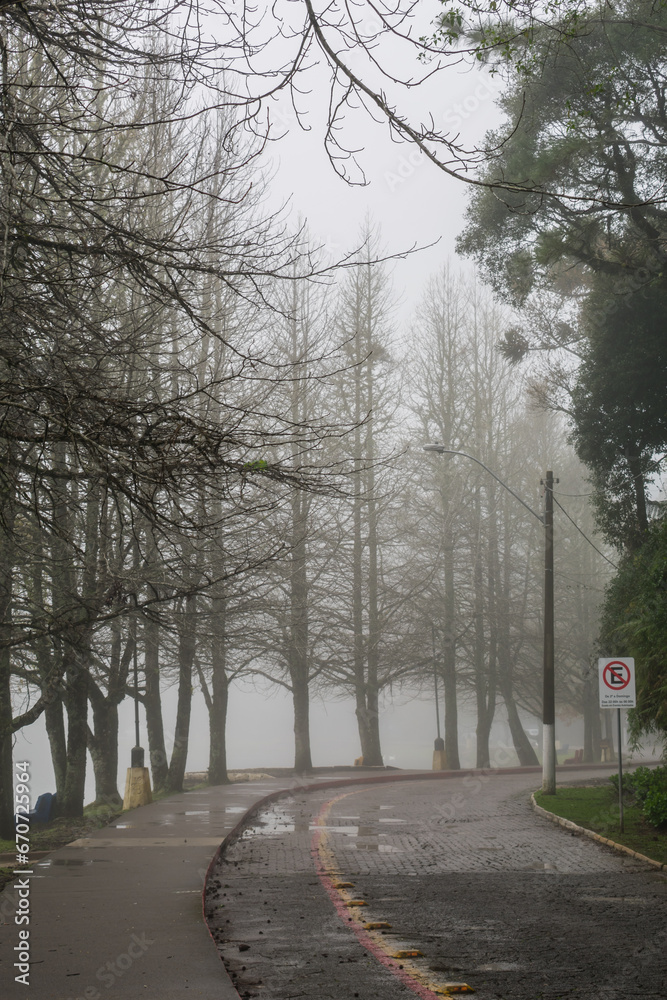 Foggy winter day at Sao Bernardo Lake. Tourist destination in Sao Francisco de Paula, South of Brazil Foggy winter day at Sao Bernardo Lake. Tourist destination in Sao Francisco de Paula, South of Brazil