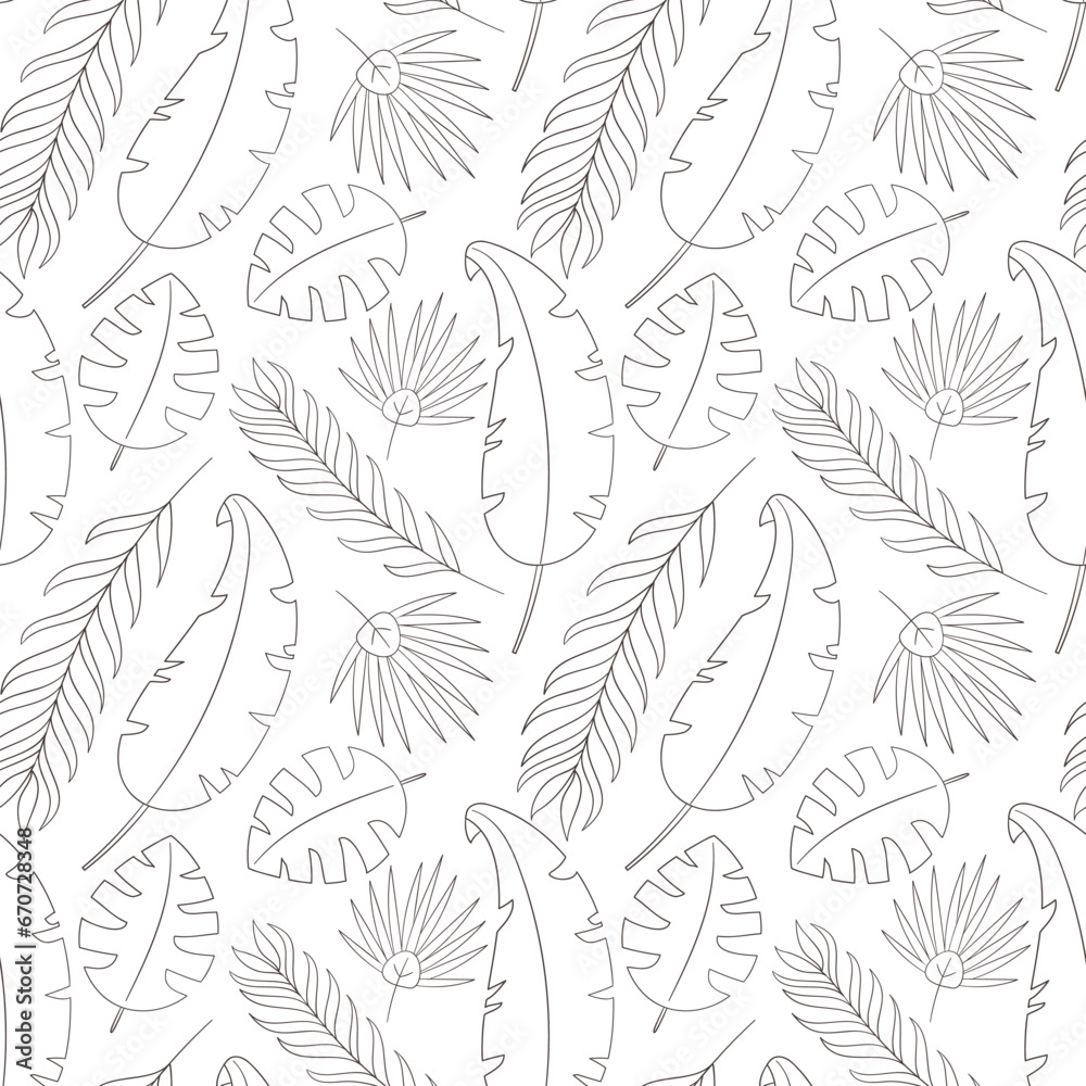 Pattern of contour tropical leaves on a white background. Palm, monstera, fern. Botanical print, plant. Linear silhouettes of leaves. Vector illustration.