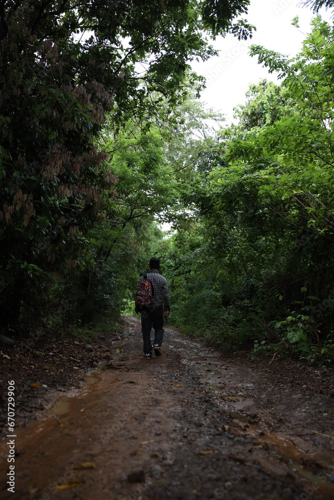 walking in the woods