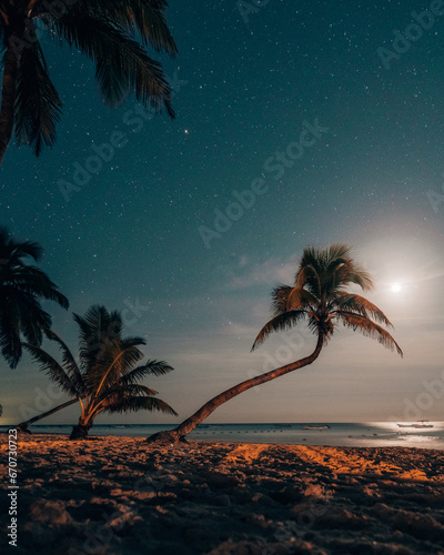 Moonlit beach with palms under starry sky in Tulum