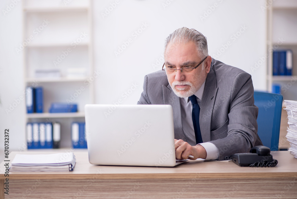Old male employee working in the office Old male employee working in the office