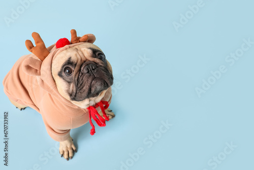 Cute pug dog in Christmas costume sitting on blue background