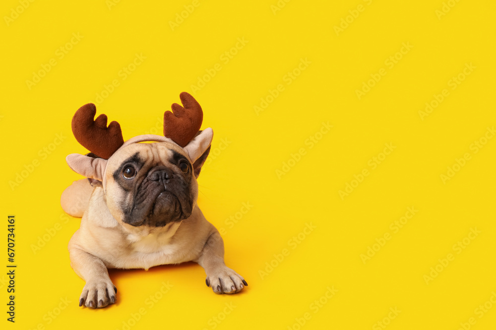 Cute pug dog in Christmas deer horns on yellow background Cute pug dog in Christmas deer horns on yellow background