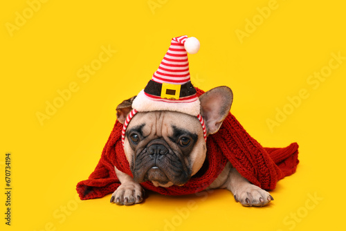 Cute pug dog in Santa hat with warm scarf on yellow background