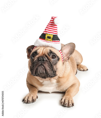 Cute pug dog in Santa hat isolated on white background