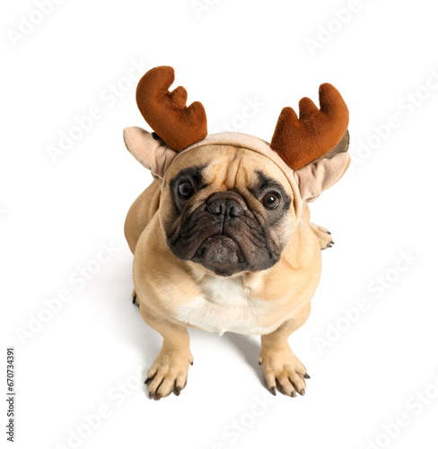 Cute pug dog in Christmas deer horns isolated on white background