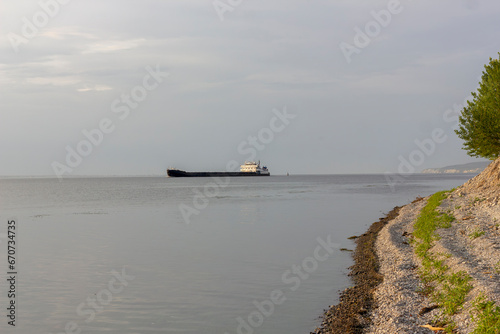 cargo ship transports cargo along the river in summer © Irina