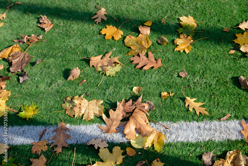 Autumn fallen leaves on the artificial turf of a football field