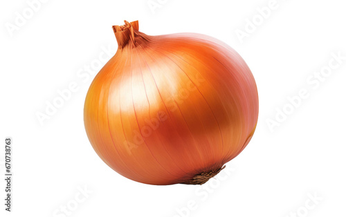 Realistic Onion, on transparent background