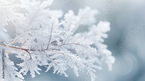 Frozen tree Branch background. Hello winter concept. Frost snow covered branches. snowy hoarfrost forest close-up Wallpaper, poster. Beautiful Amazing nature scene. Winter wonderland. Idyllic nature..