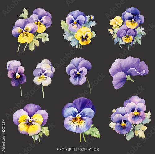 Set of Watercolor Pansy Flower 01