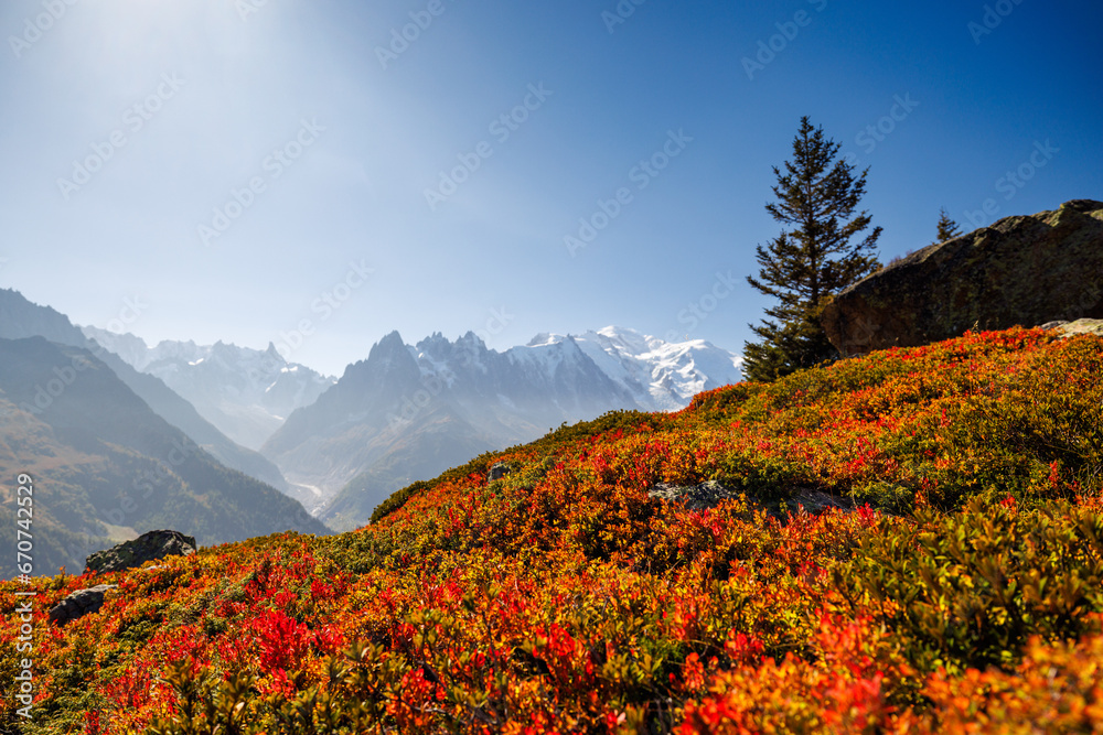 autumn colors in Chamonix with Aiguille du Midi and Mont Blanc in France