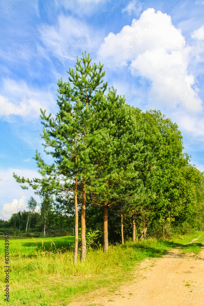 Countryside landscape with green fields and blue sky in Latvia. Countryside landscape with green fields and blue sky in Latvia.