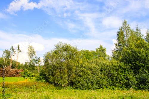 Countryside landscape with green fields and blue sky in Latvia.