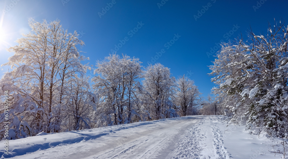 Obraz premium winter landscape with trees
