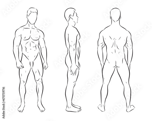  Illustration of the male figure with front, side and back contours, simple lines. Naked muscular man. Vector isolated on transparent background.