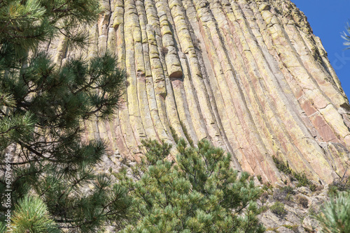 The Color and Texture of Igneous Rock on Devils Tower  Wyoming