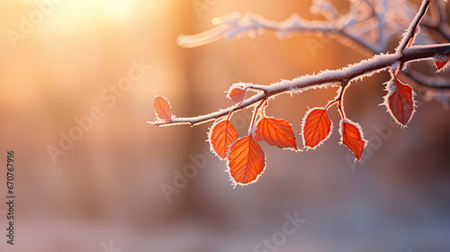 frozen branch with autumn leaves autumn winter background