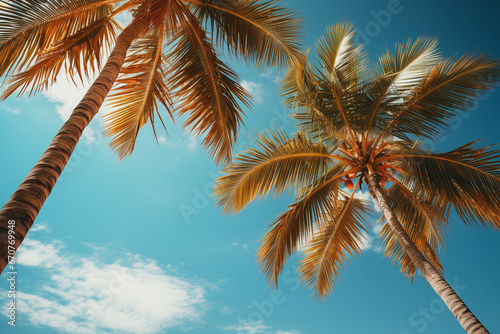 Blue sky and palm trees view from below, vintage style, tropical beach and summer background, travel concept. 