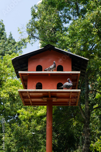 wooden bird house at the park