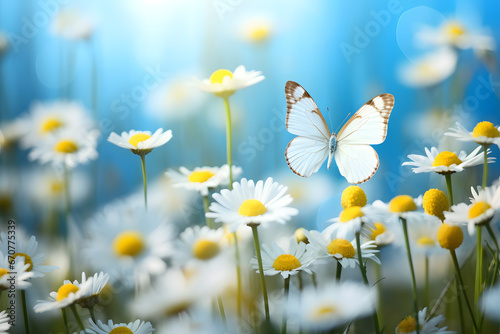 Beautiful flowers bloom with a butterfly in the spring field, soft focus