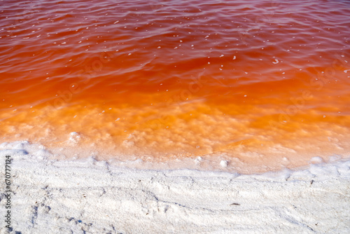 Red Salt Ponds, Alviso Marina County Park photo
