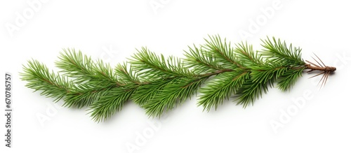 Christmas decoration on a spruce branch for New Year and Christmas