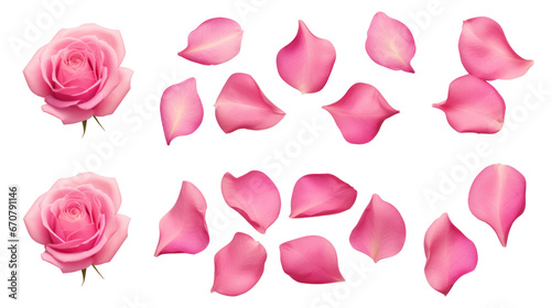 Pink flower petals isolated on a transparent background created with Generative AI technology photo