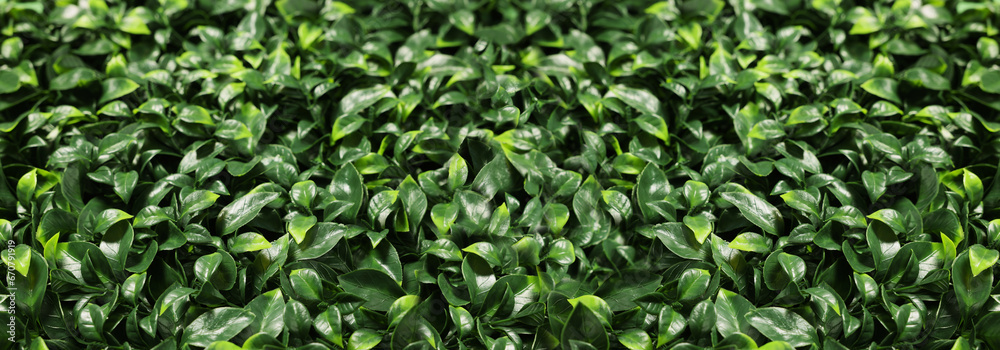 Bright green artificial plants as background, banner design Bright green artificial plants as background, banner design