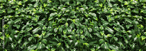 Bright green artificial plants as background, banner design © New Africa