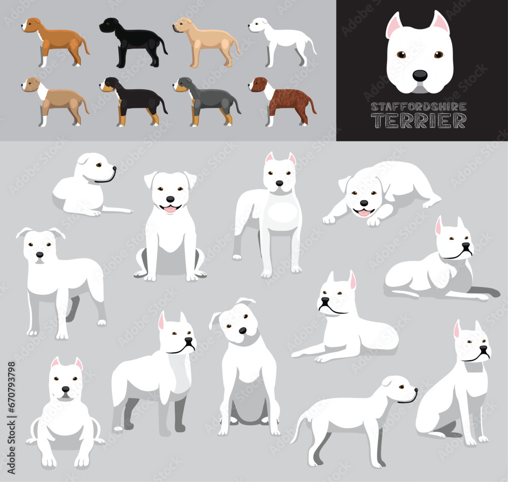 Dog Staffordshire Terrier White Coat Cartoon Vector Illustration Color Variation Set