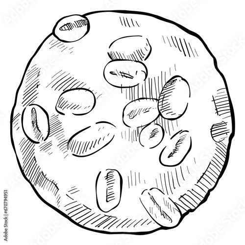 biscuits handdrawn illustration 