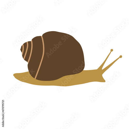 Snail shell animal