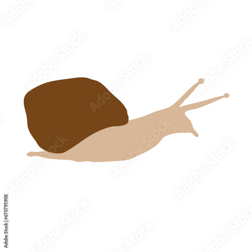 Snail shell animal