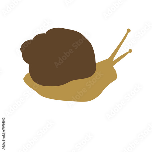 Snail shell animal